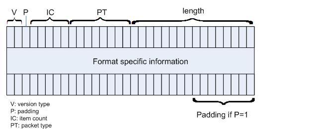 rtcp packet