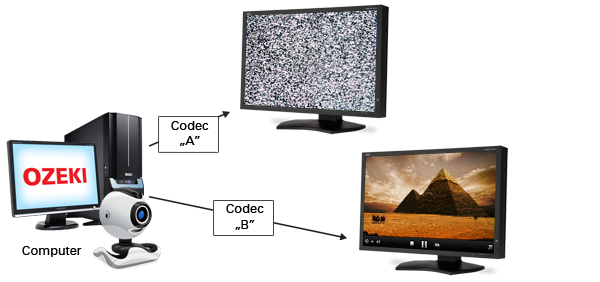 voip video codec support