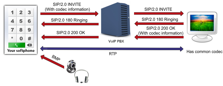 making video calls with codec information