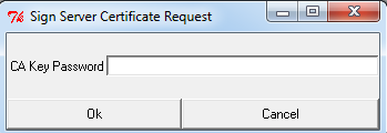 ca key password